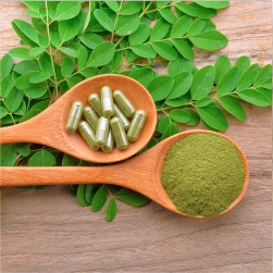 Moringa%20Oliefera